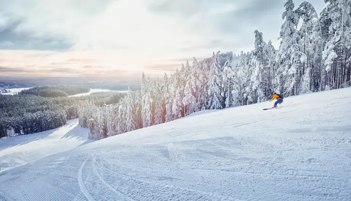 ISABERG VINTER 210205 1085