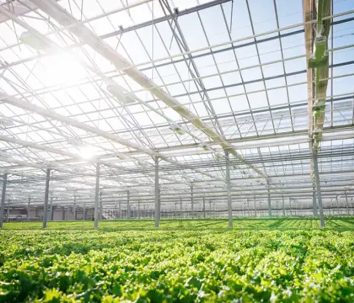 Svegros växthus på Färingsö