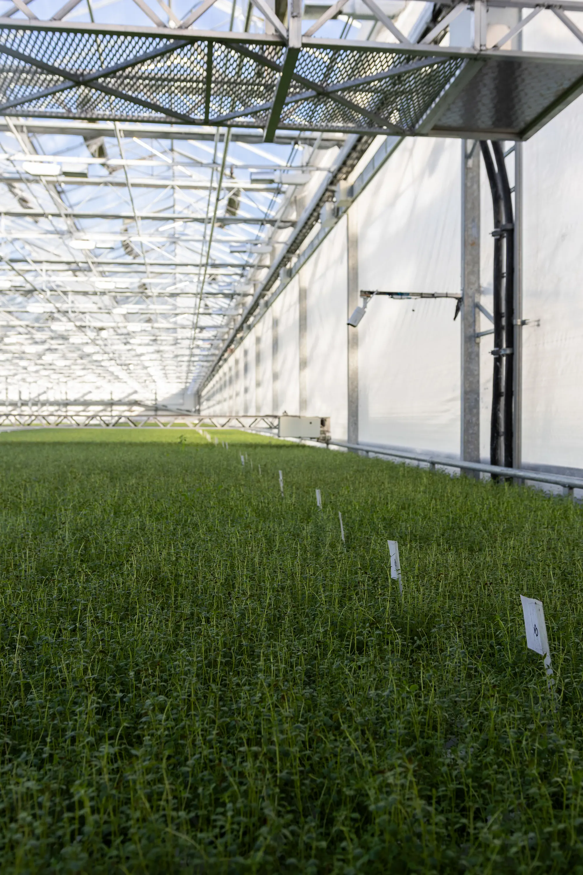 Svegros AI-plattform iGro ser till att det kan fattas välgrundade och energieffektiva beslut.