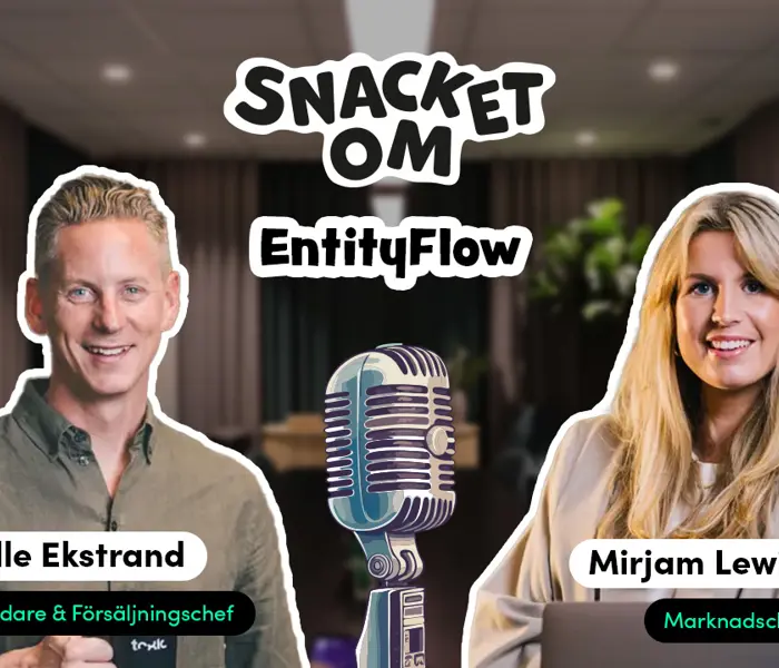 Snacket Om Entityflow Webben