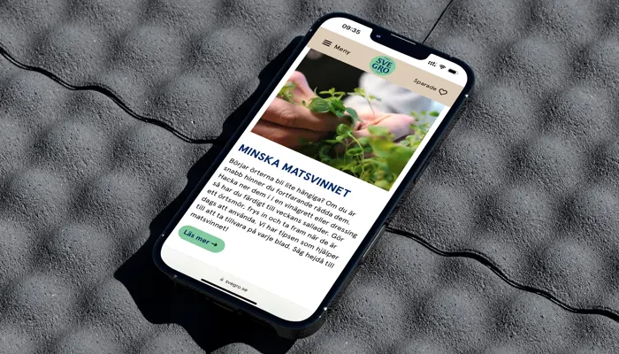 Iphone Mockup