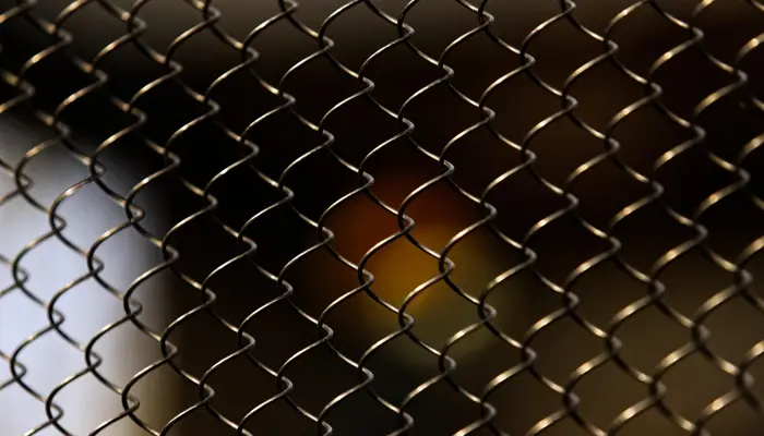 Grid 7892225 1280
