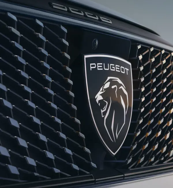 Kwbruun Peugeot