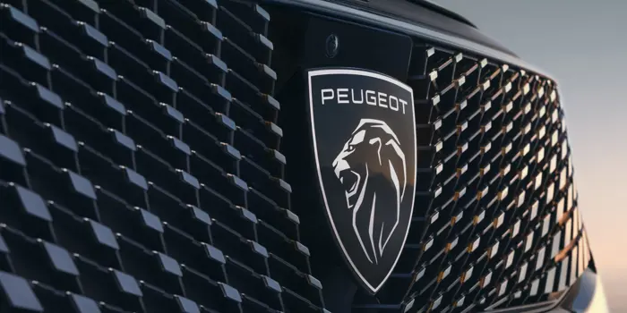 Kwbruun Peugeot