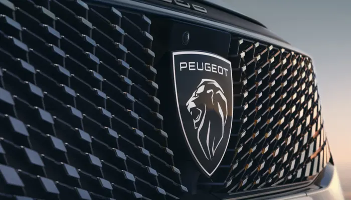 Kwbruun Peugeot