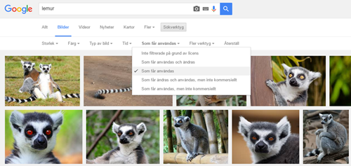 Google sökning på 'lemur' som visar användningen av google bilder med visar bilder med filter 'Som får användas'