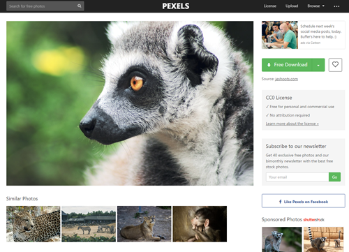 Pexels webbsida där kostnadsfria bilder samt royaltifria bilder och videon delas av skapare
